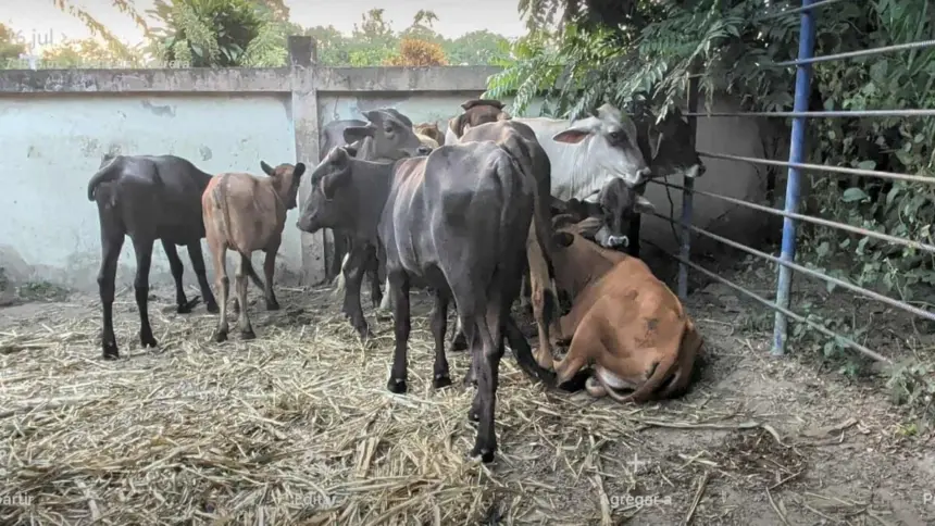 Refuerzan controles en Dajabón para prohibir ingreso de productos de Haití