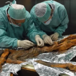 Ötzi: El misterio del asesinato más antiguo de la historia a 35 años