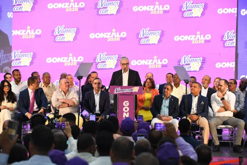 Gonzalo Castillo exige retorno del PLD al poder y critica gestión actual