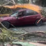 Árbol cae sobre vehículo en Jarabacoa dejando un conductor herido