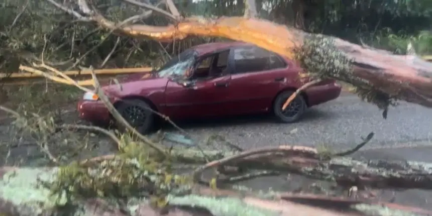 Árbol cae sobre vehículo en Jarabacoa dejando un conductor herido