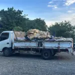 Tragedia vial: niña muere y mujer resulta herida tras choque en Santo Domingo