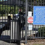 Denuncian grave hacinamiento en centros de detención del ICE en Florida