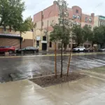 Tormenta en Nueva York: El Bronx registra calles vacías por frío y lluvias