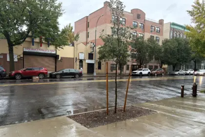Tormenta en Nueva York: El Bronx registra calles vacías por frío y lluvias