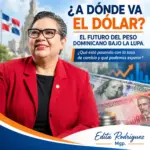 Análisis: ¿Cuál es el futuro del peso dominicano frente al dólar en 2026?
