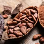 Festival del Chocolate Dominicano celebra su sexta edición en Santiago