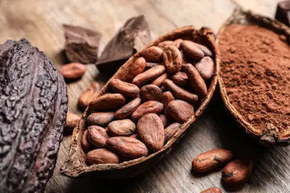 Festival del Chocolate Dominicano celebra su sexta edición en Santiago
