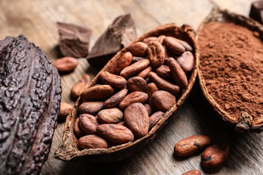 Festival del Chocolate Dominicano celebra su sexta edición en Santiago
