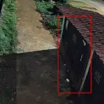 Vecinos de Sembrador III exigen a Dio Astacio frenar basura en SDE