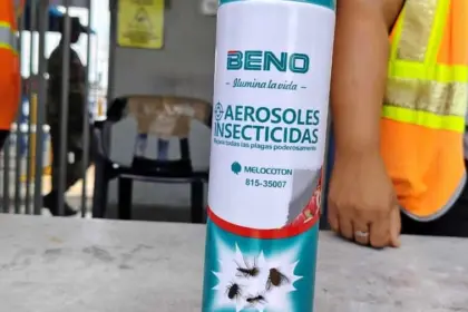 Incautan 66 toneladas de insecticidas irregulares en el puerto de Haina
