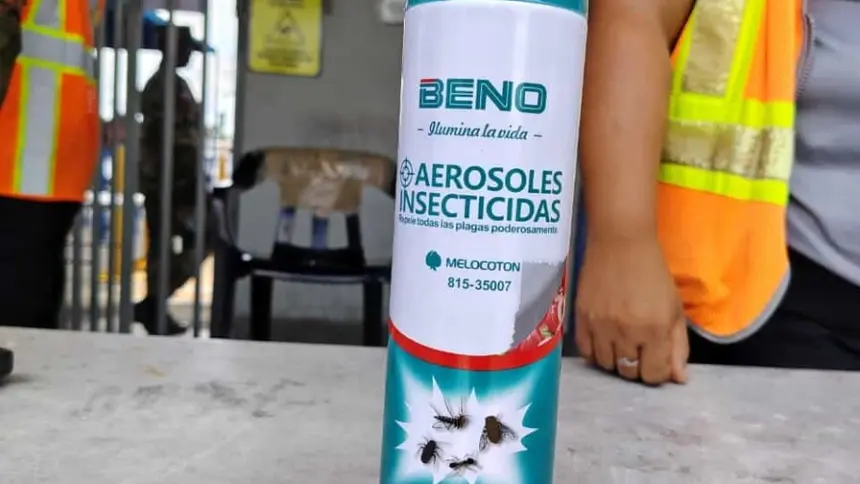 Incautan 66 toneladas de insecticidas irregulares en el puerto de Haina