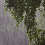 Inundaciones en Acapulco: fuertes lluvias arrastran personas en el mercado