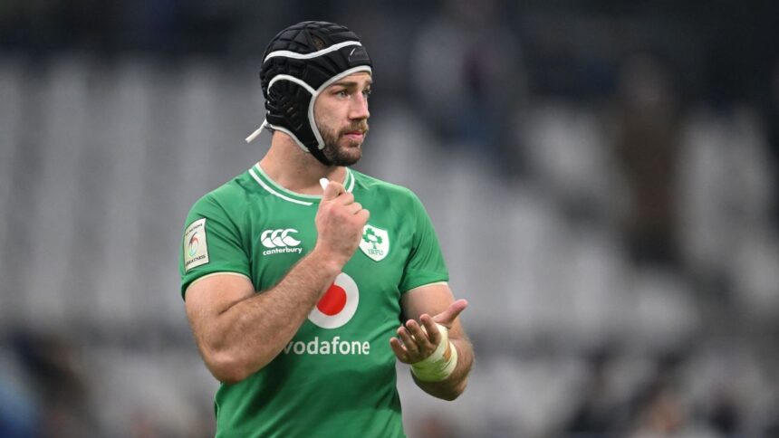 Doris, Irish Captain, Out of Action for 6 Months: Goodbye to the November Tests?