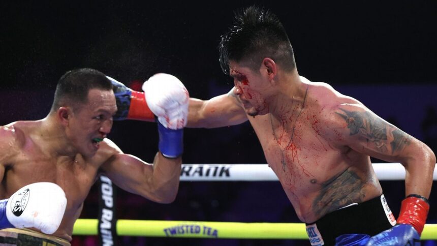 Navarrete Retains WBO Title: Technical Decision Against Suárez Due to Cut