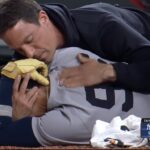 Yankees: Cabrera to injured list with fracture; LeMahieu returns