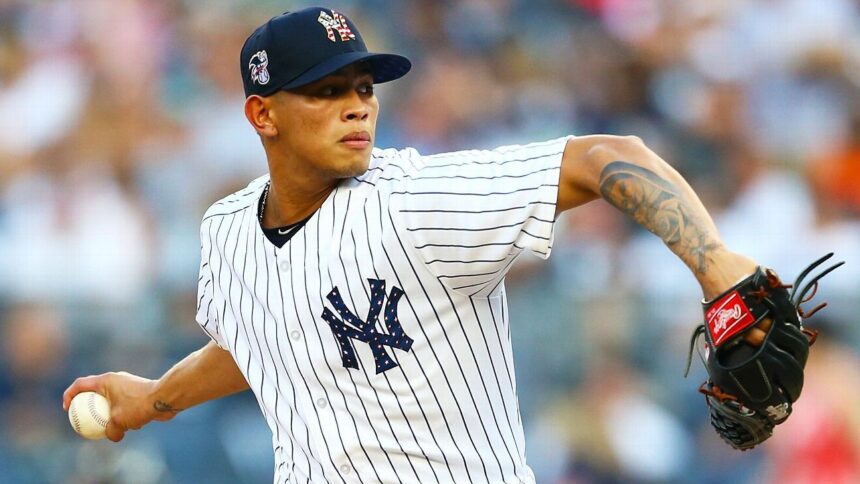 Loáisiga Activated: Yankees Bolster Bullpen With Pitcher After Injury