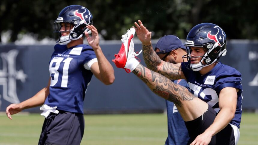 Texans Reunite Iowa State Duo: Higgins and Noel in NFL Attack