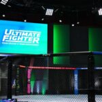TUF 33: Cormier vs Sonnen, the new season with UFC legends