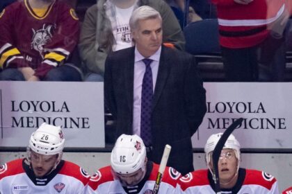 Blackhawks Hire Vellucci as Assistant Coach: Luxury Reinforcement