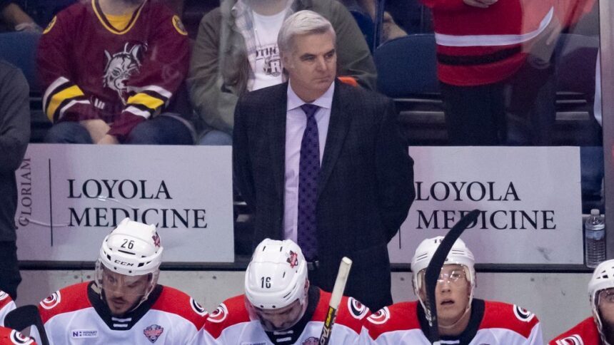 Blackhawks Hire Vellucci as Assistant Coach: Luxury Reinforcement