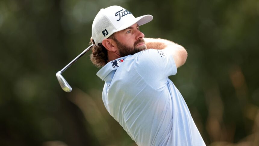 Young Prevails in Playoff and Qualifies for the US Open of Golf