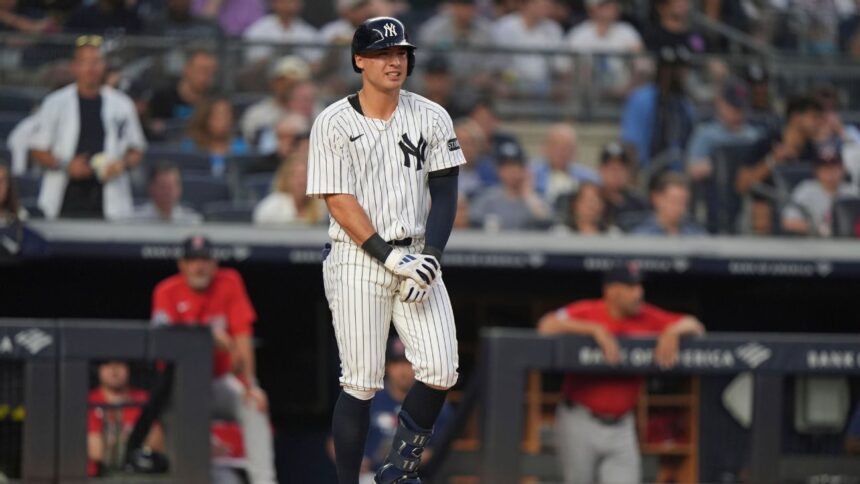 Volpe, Yankees Shortstop, Hit by Pitch: Test Results Are Negative