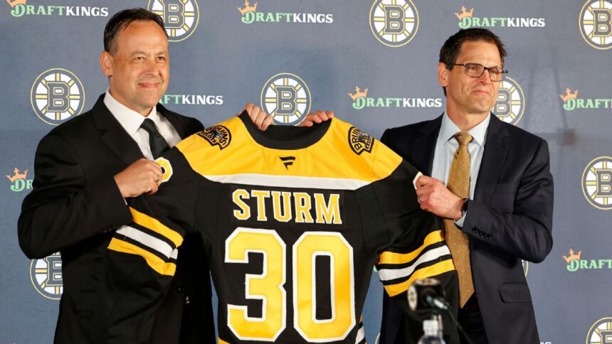 Sturm: Bruins fans' passion drives new coach