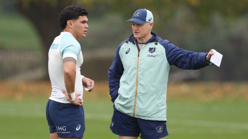 Schmidt bets big on the future of the Wallabies: Will he succeed?