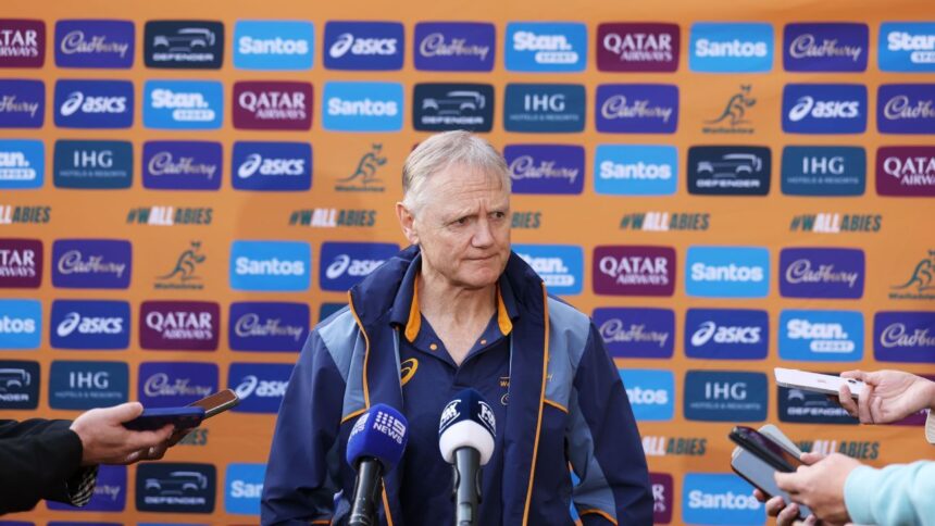 Schmidt Responds to Lions: Australia Will Release Players, But With Nuances