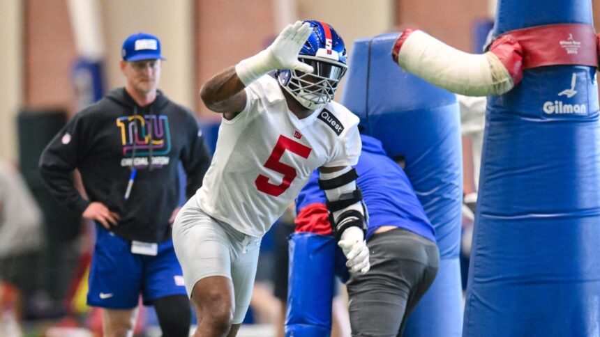 NFL: Key Plays Before the Start of the 2025 Season