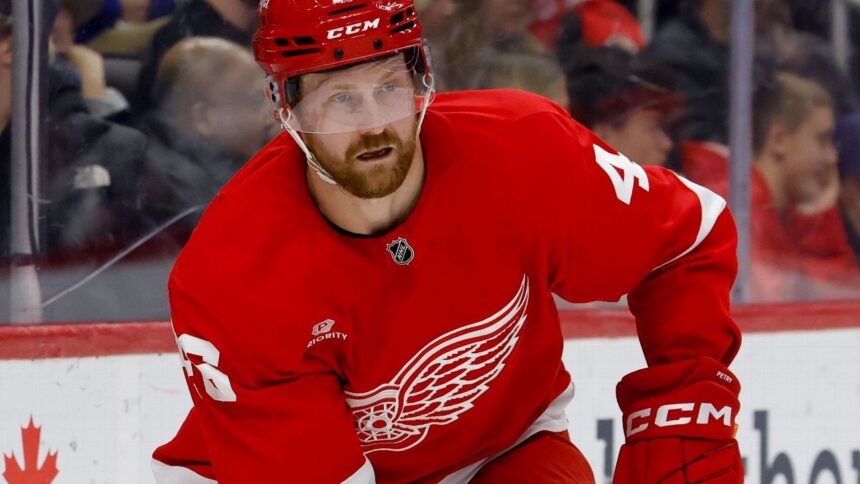Panthers Sign Veteran Defenseman Jeff Petry: Reinforcement for the Defense