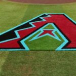Diamondbacks Ban Fan After Interfering in Game vs Giants