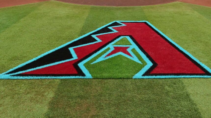 Diamondbacks Ban Fan After Interfering in Game vs Giants