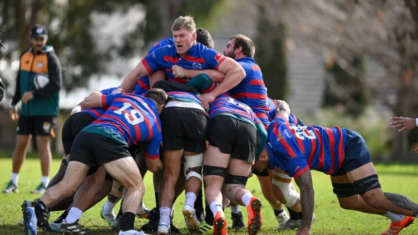 AUNZ XV vs. Lions: In Play, Fame, and Spots in Wallabies and All Blacks