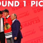 Blackhawks Secure Anton Frondell, Third Draft Pick