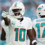 Dolphins' Hill: "Last season changed my perspective"