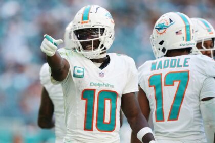 Dolphins' Hill: "Last season changed my perspective"