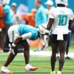 Dolphins' Burns fears ligament tear; Matos also injured