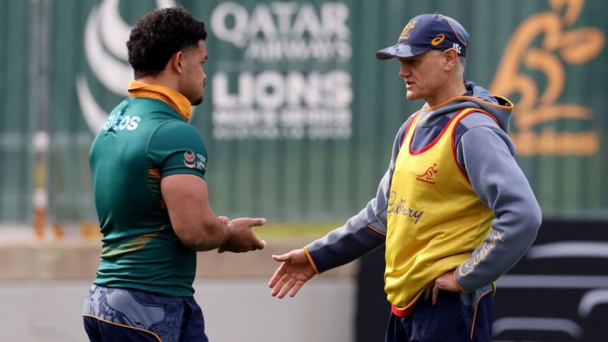 WR backs referees and exonerates Schmidt after Lions-Wallabies controversy