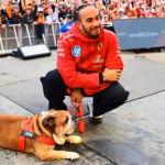 Hamilton mourns the death of Roscoe, his faithful bulldog: "My best friend"
