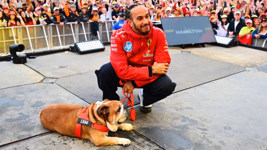 Hamilton mourns the death of Roscoe, his faithful bulldog: "My best friend"
