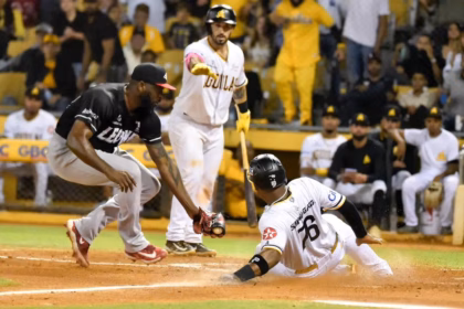 Cibao Eagles Crush Lions: 25 Victories and Solid Leadership!