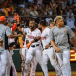 De La Cruz ignites the Bulls: Home run and 5 RBIs against Águilas