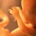 Investigation into the discovery of a fetus in front of the Moscoso Puello Hospital in SD