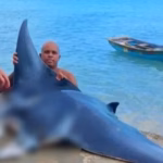 Man arrested for illegal capture of manta ray in Las Terrenas