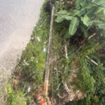Dangerous sinkhole in Honduras Samaná demands intervention from Public Works
