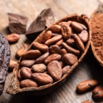 Dominican Chocolate Festival celebrates its sixth edition in Santiago