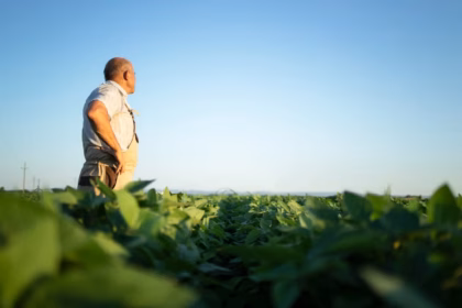 Sustainable soy: key to protein production in the DR