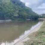 Intense search for missing man in Santiago Oeste irrigation canal